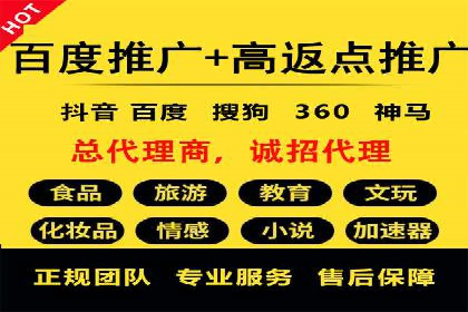 成功案例解析：SEM竞价托管的优化之路